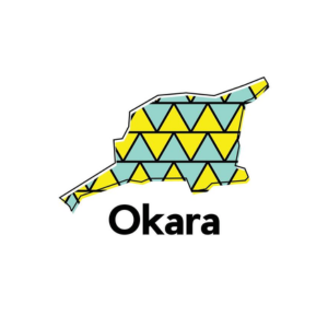 Okara